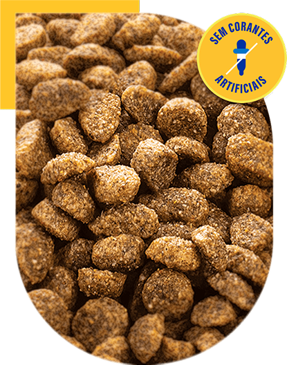 Nossos produtos - Faro